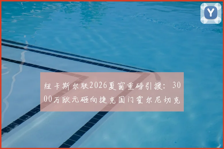 纽卡斯尔联2026夏窗重磅引援:3000万欧元砸向捷克国门霍尔尼切克,技术特点与转会影响全解析