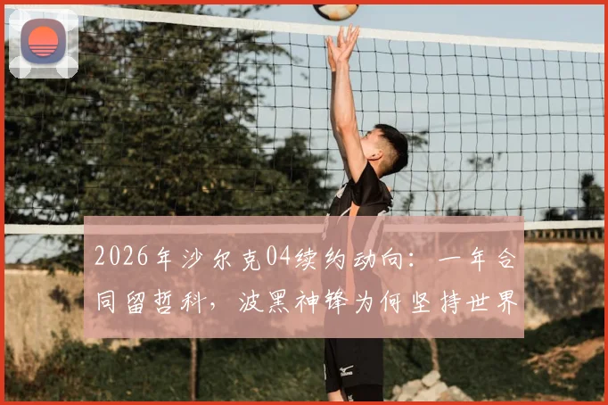 2026年沙尔克04续约动向:一年合同留哲科,波黑神锋为何坚持世界杯后决定?最新年薪与未来分析