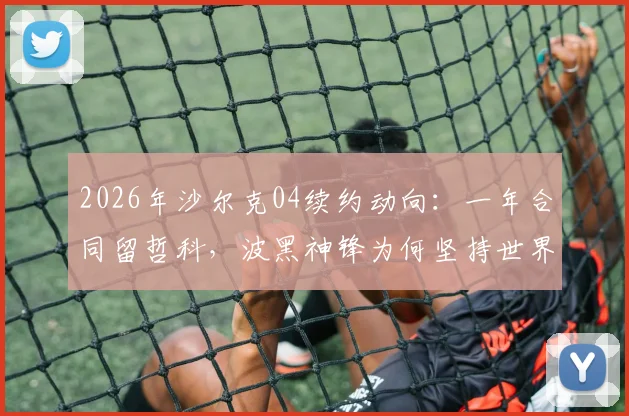2026年沙尔克04续约动向：一年合同留哲科，波黑神锋为何坚持世界杯后决定？最新年薪与未来分析